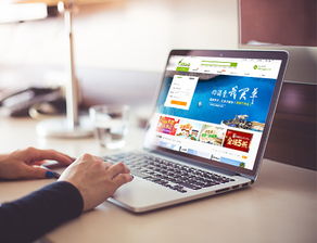 創(chuàng)研科技 專業(yè)營銷型網站建設與移動開發(fā)服務